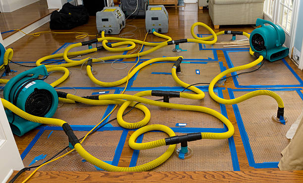 Professional Crawl Space Water Removal technician working in Gilbert, IA